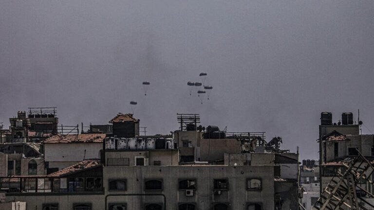 Lanzamiento de ayuda a Gaza: "combatir el hambre no se trata solo de contar aviones"