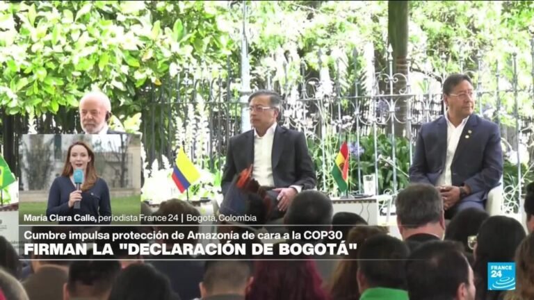 V Cumbre de Países Amazónicos se compromete con el Fondo Bosques Tropicales para Siempre