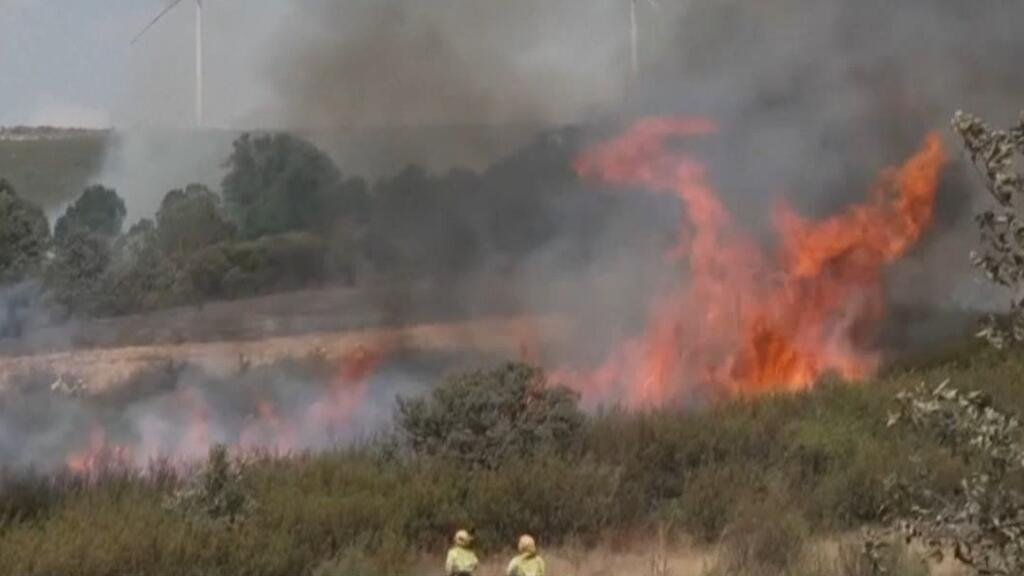 Incendios forestales en España: ¿se pueden prevenir?