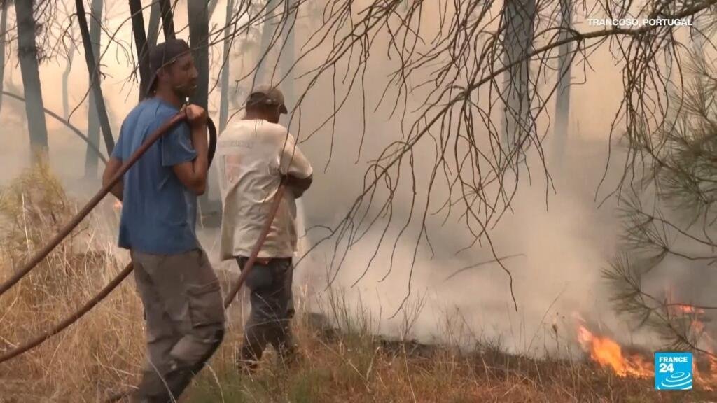 El alarmante impacto del calor extremo en el hemisferio norte