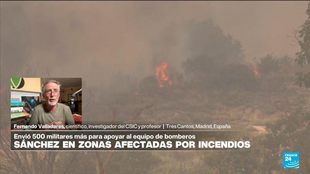¿Qué herramientas tiene España para combatir la crisis de incendios?