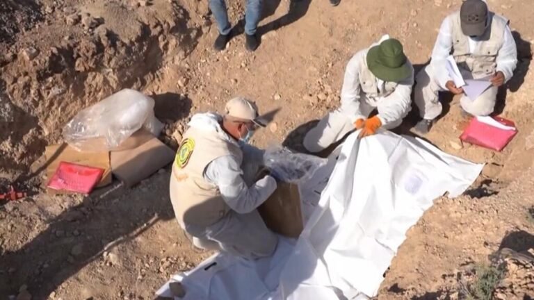 Irak: autoridades investigan fosa común en busca de víctimas del Estado Islámico
