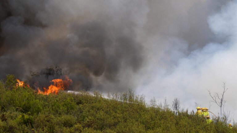 España: Sánchez impulsa un pacto nacional por la emergencia climática en plena crisis de incendios