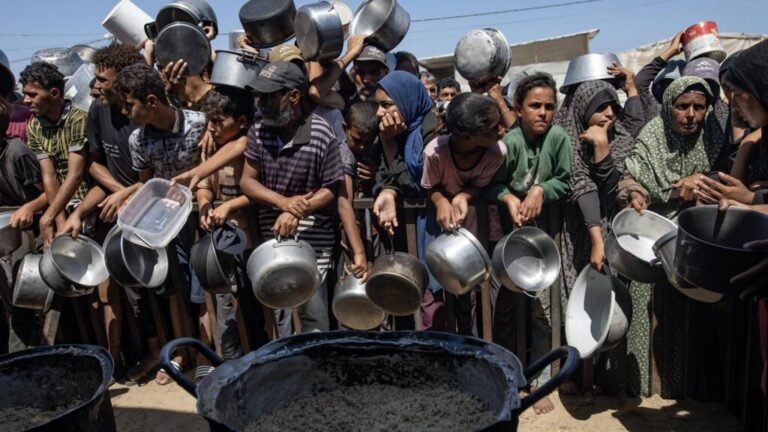 Hambruna en Gaza: ¿una declaración tardía?