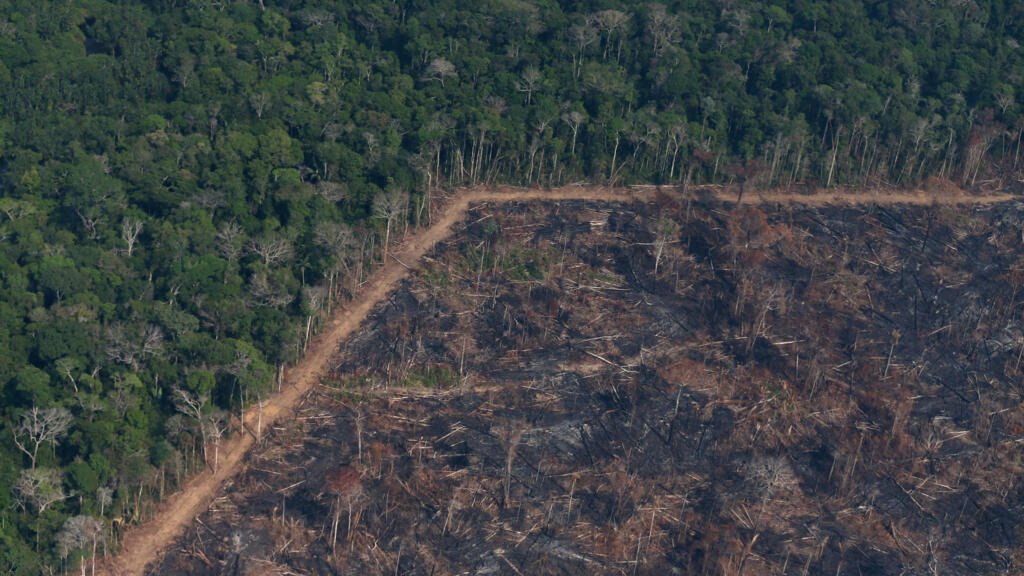 Brasil: a menos de 100 días de la COP30 se activa la ‘Ley de la Devastación’ impulsada por el agro