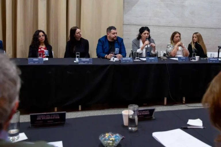 Chubut participó de un nuevo encuentro del Consejo Federal de Drogas