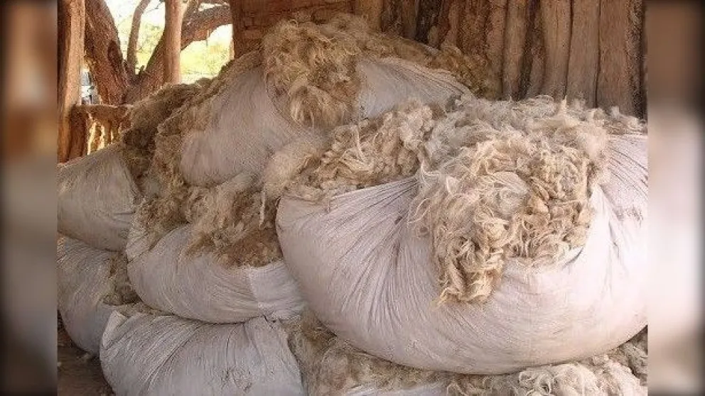 Chubut abre inscripción al Registro de Acopiadores para empresas del sector productivo