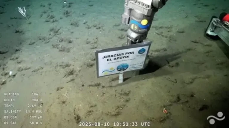 Terminó el streaming del CONICET: el conmovedor mensaje al cierre de la transmisión