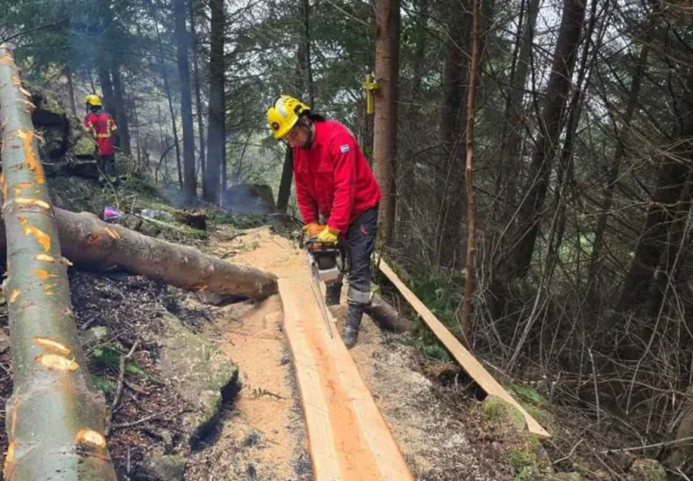 Lago Puelo: Avanza el armado del nuevo mirador de la Virgen del Currumahuida 