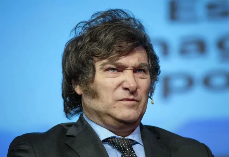 Cuáles son las leyes que vetó Milei desde su asunción