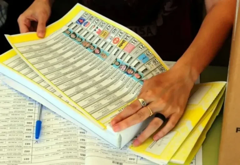 Elecciones legislativas 2025: cómo consultar el padrón en Chubut