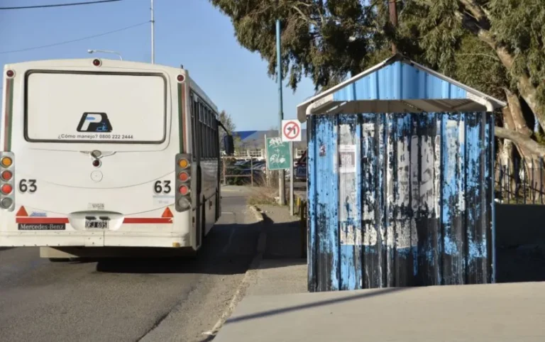 Se recupera el estudiante del CUP embestido por un colectivo de Patagonia