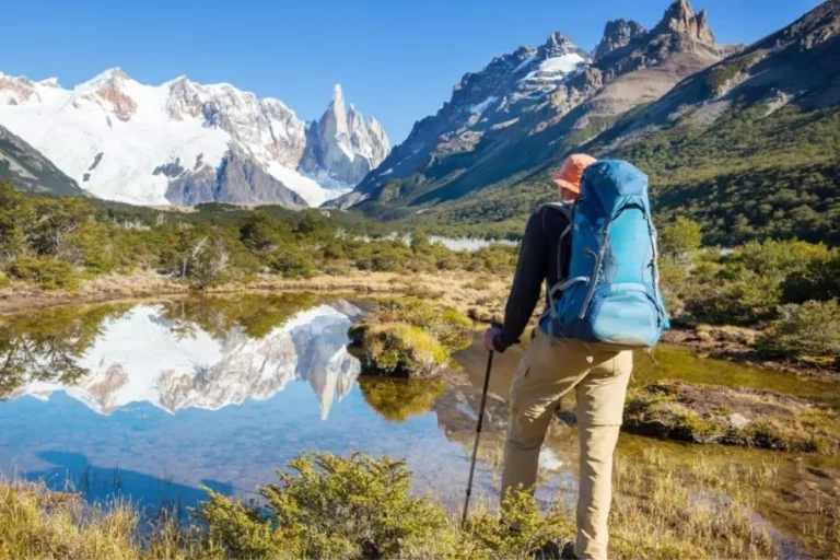 Correo Argentino lanzó nuevos Sellos de Porte Único con imágenes de la Patagonia