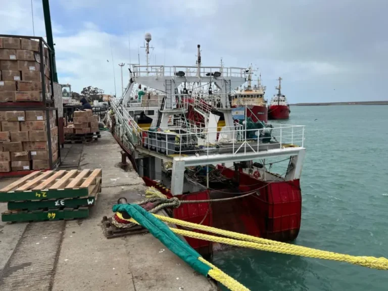 Masivo ingreso de buques reactiva la actividad en el puerto deseadense