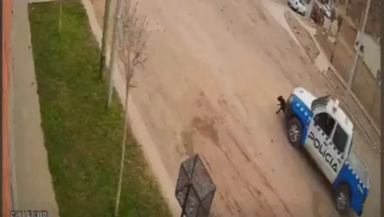 Identificaron al patrullero que atropelló y mató a una perrita