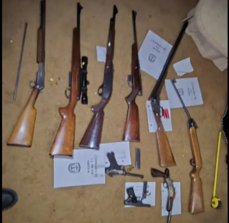Secuestraron un arsenal de armas en una causa por violencia familiar
