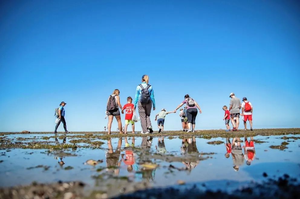Rada Tilly se sumerge en la Expo Turismo con un stand inspirado en el mar y la naturaleza viva
