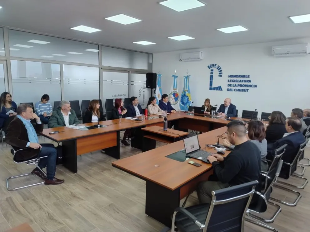 El Consejo Consultivo de Partidos Políticos trabajará la semana próxima con la boleta del Referéndum