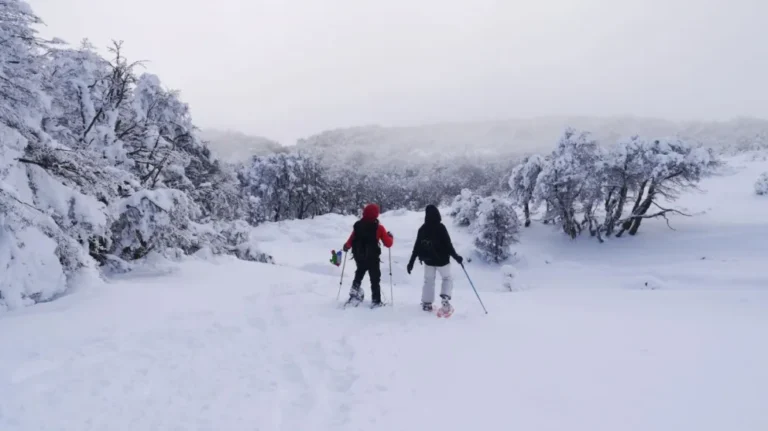 El turismo interno cayó 10,9% respecto al año pasado
