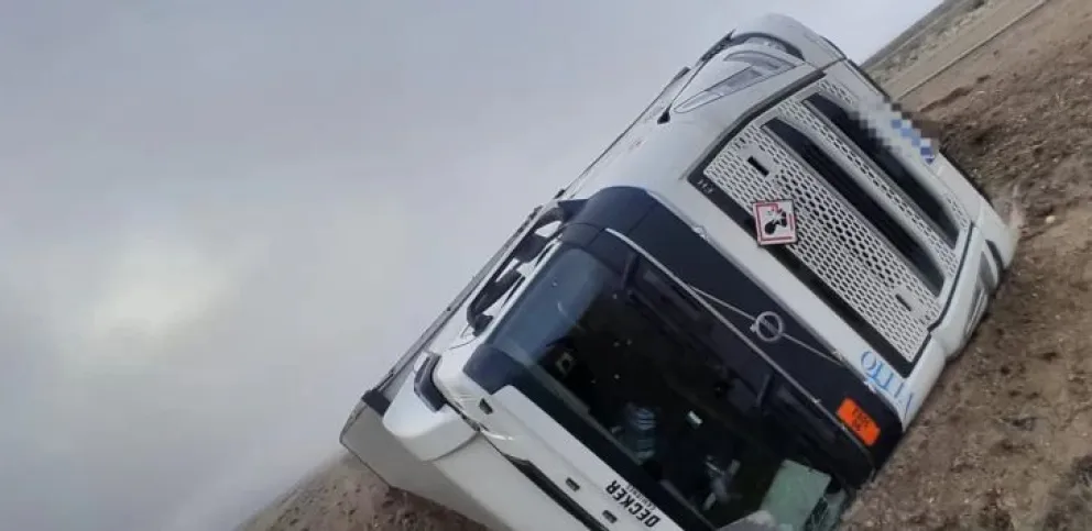 Camión volcó al intentar esquivar un guanaco en la ruta nacional 3