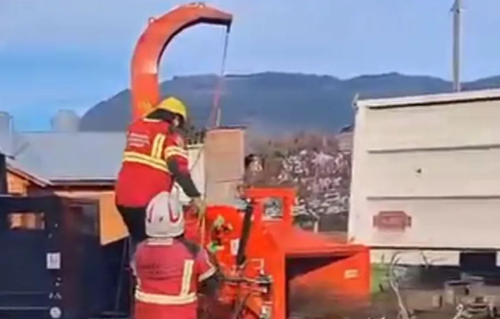 Continúa el chipeado gratuito en la localidad de El Hoyo