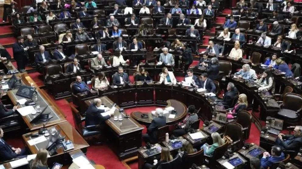 Diputados tratará este miércoles los vetos a las leyes de discapacidad y jubilaciones