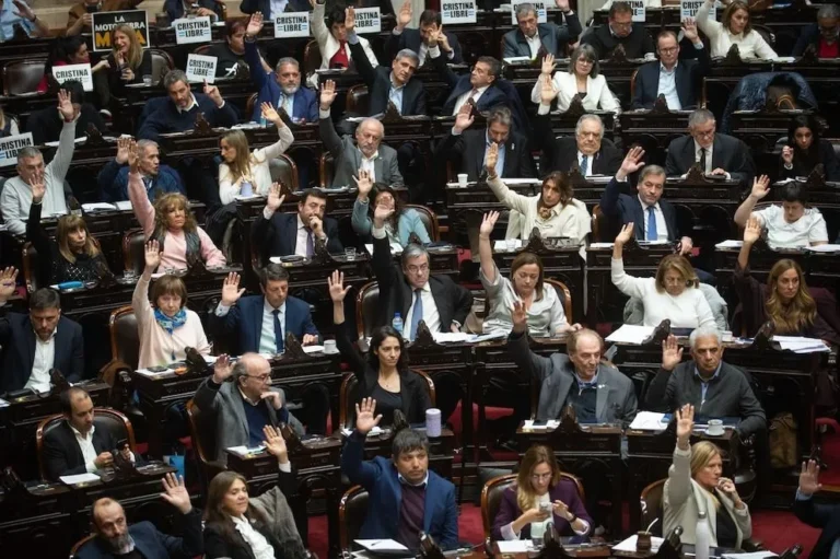 Cómo votaron los diputados de Chubut el proyecto de financiamiento universitario