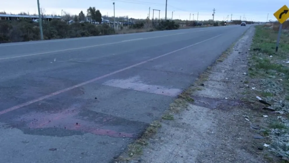 Camioneta destruida tras chocar con caballos sueltos en Ruta 7 de Rawson