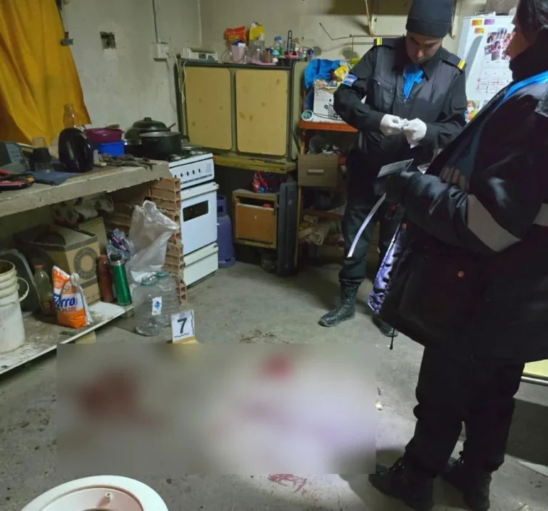 Ex marido de tatuadora apuñaló a cliente creyendo que era el amante y de paso le robó la bicicleta 