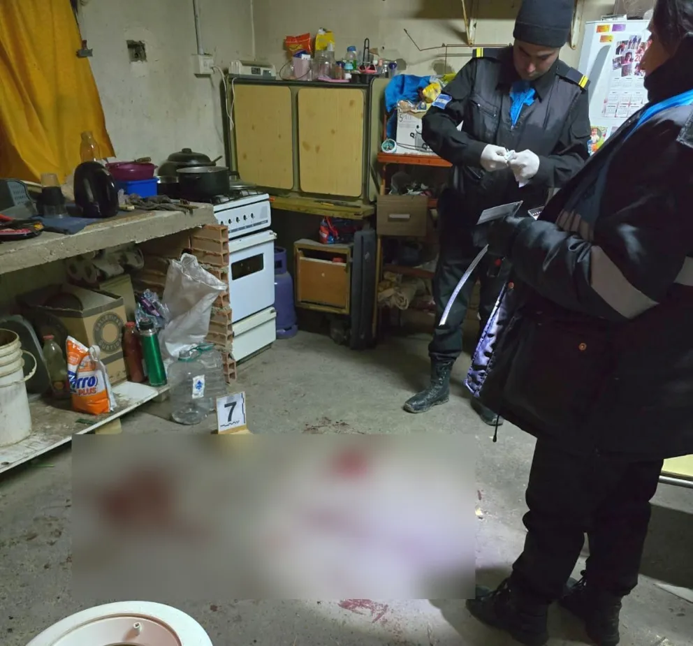 Ex marido de tatuadora apuñaló a cliente creyendo que era el amante y de paso le robó la bicicleta 