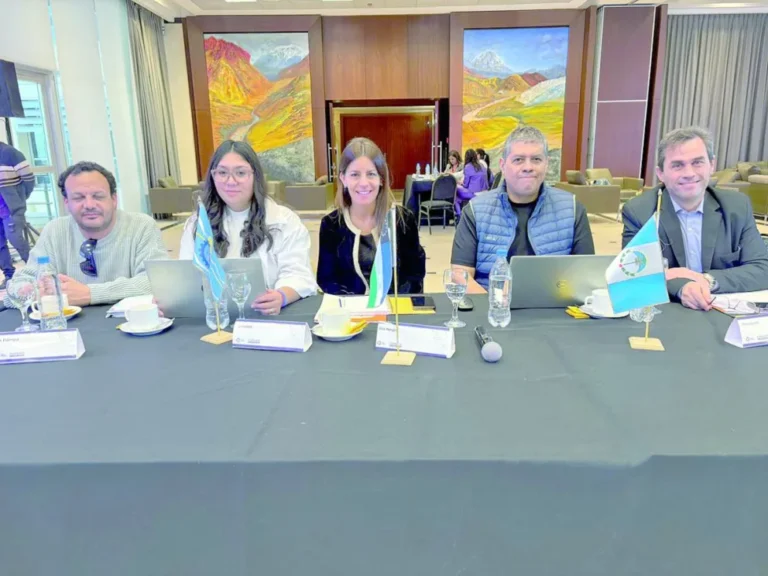 Chubut participó de la reunión del Consejo Federal de Discapacidad