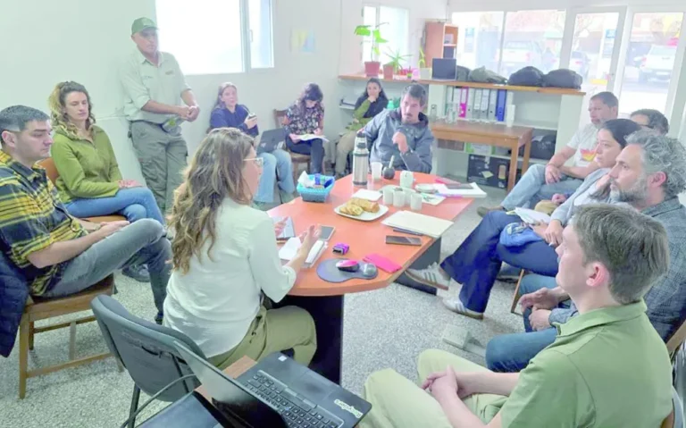 Potencian las actividades de Escalada en Piedra Parada