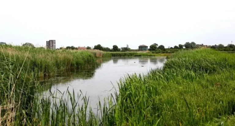 Inglaterra: declaran la sequía histórica como “incidente de importancia nacional”