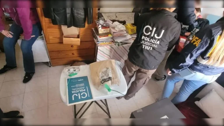 Megaoperativo internacional llegó hasta la patagonia dejando 22 detenidos por pedofilia