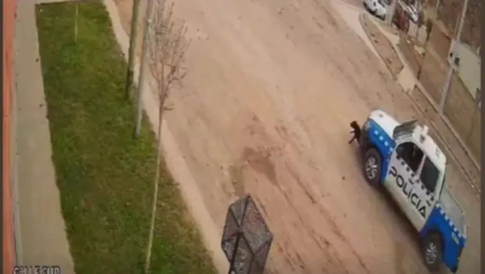 Un patrullero atropelló, mató a una perrita y no se detuvo