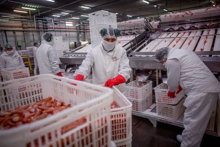 Denuncian “espionaje” en una pesquera de Puerto Madryn