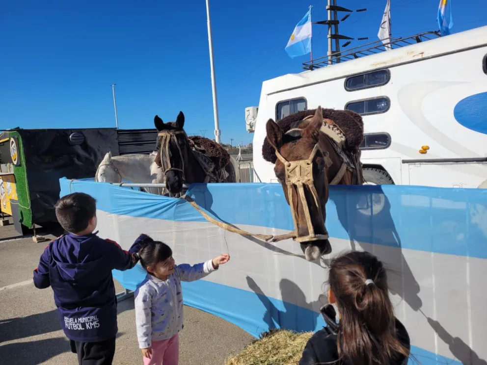 Galopes del Sur invita a conocer paisajes de Comodoro a través de cabalgatas