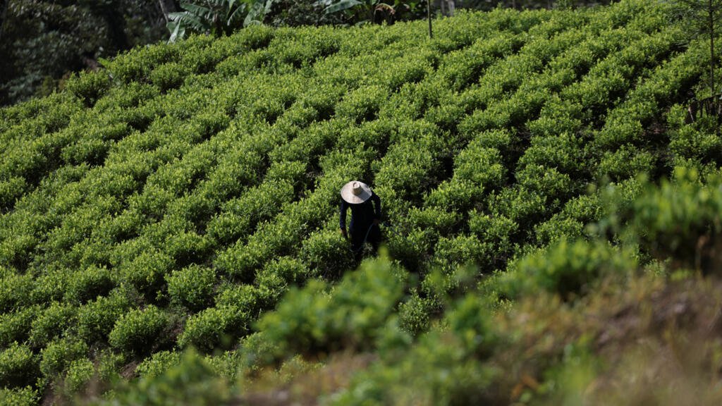 Canciller de Colombia: "La descertificación es una medida de castigo" por razones políticas