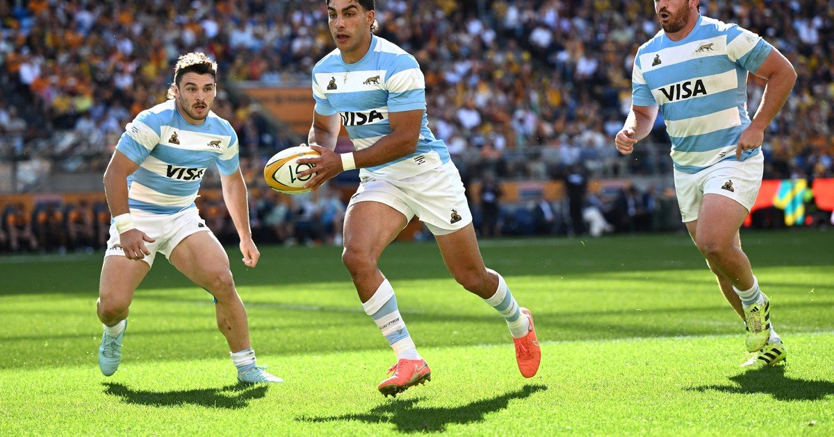 Los Pumas vs Springboks, por el Rugby Championship, EN VIVO: hora, TV y dónde ver online
