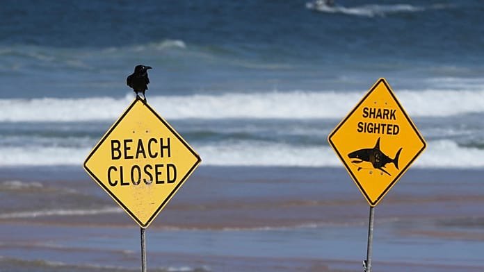 Muere un surfista por el presunto ataque de un gran tiburón en Australia