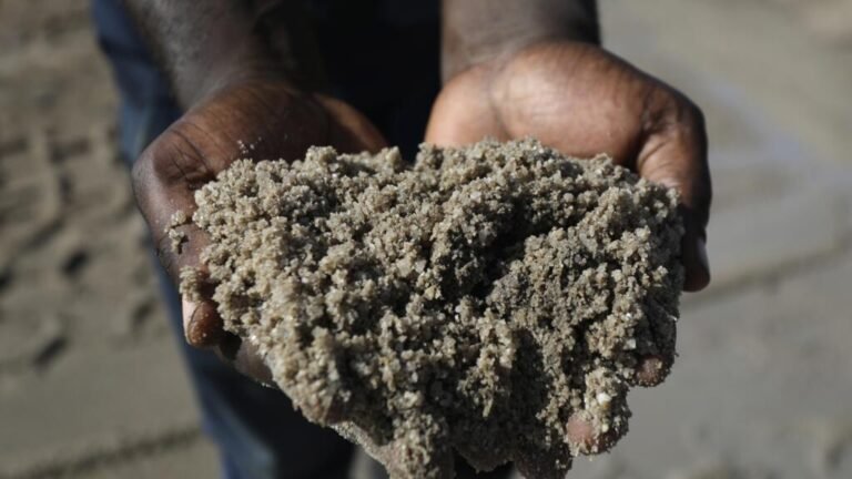 Arena: un recurso muy demandado y expuesto al tráfico ilegal