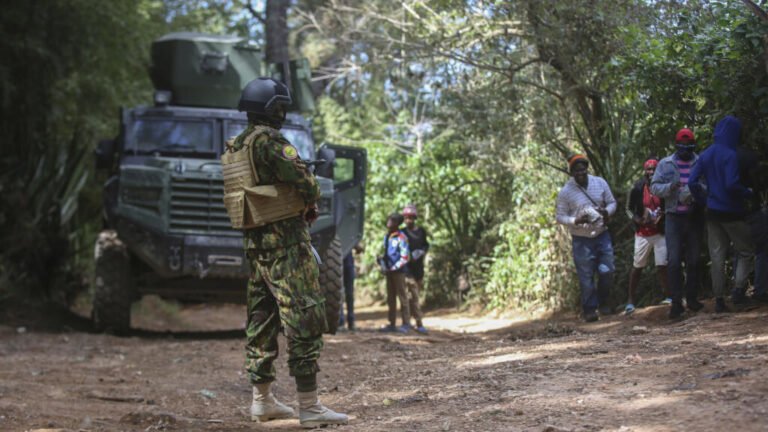 Consejo de Seguridad de la ONU aprueba el envió de una nueva y mayor fuerza en Haití