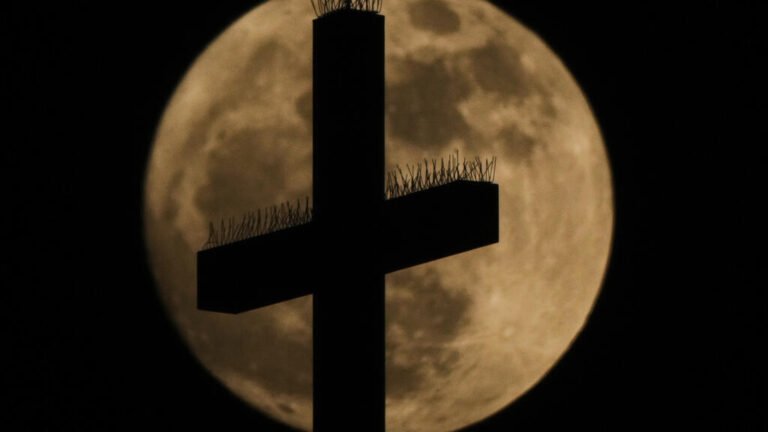 Portugal: víctimas de abusos sexuales acusan a la Iglesia y exigen justicia en reparaciones