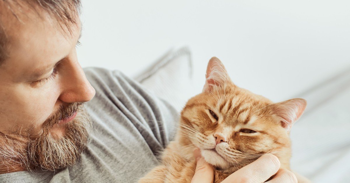 Así impacta en nuestro cerebro tener un gato como mascota