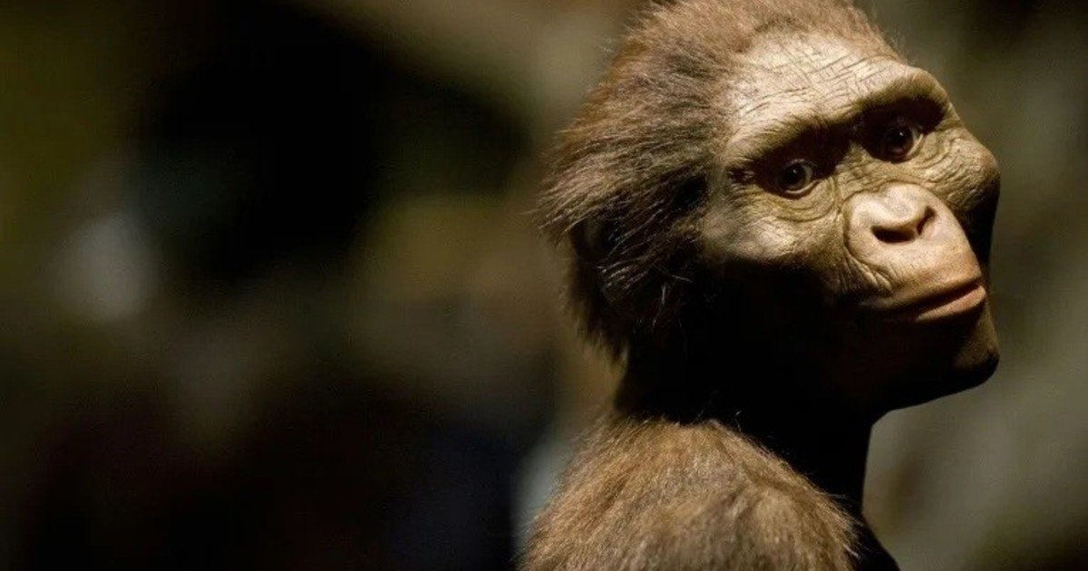 Lucy, célebre antepasado humano, se exhibe por primera vez en Europa