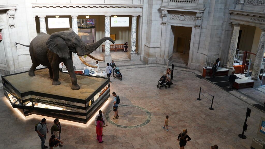 Trump amenaza al Smithsonian: ¿quién y cómo se cuenta la historia?