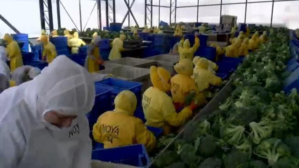 Aranceles del 15% impuestos por Trump ponen en riesgo miles de empleos en Ecuador