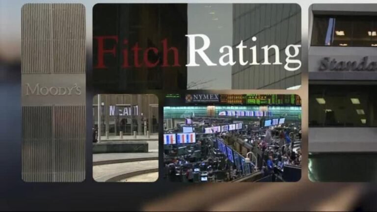 Incertidumbre en Francia impacta en su calificación de deuda ante la agencia Fitch