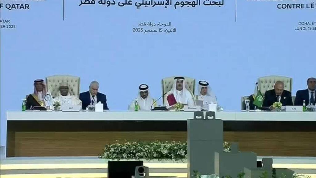 Países árabes e islámicos exigen sanciones contra Israel