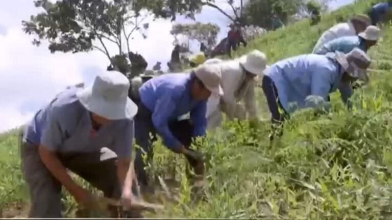 Bolivia cuestiona decisión de EE. UU. de retirarlo de la lista de países que luchan contra la droga